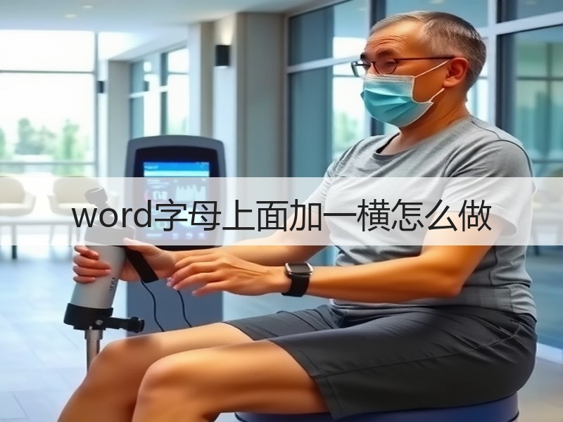 word字母上面加一横怎么做 - 诺云壹观办公网