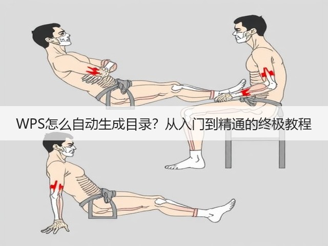 WPS怎么自动生成目录？从入门到精通的终极教程(图1)