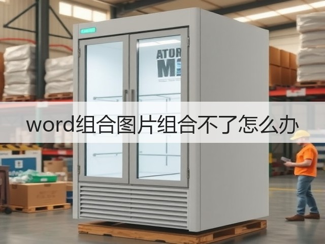 word组合图片组合不了怎么办(图2)