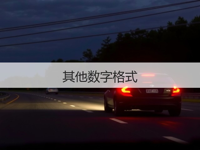 其他数字格式(图2) 其他数字格式(图2)