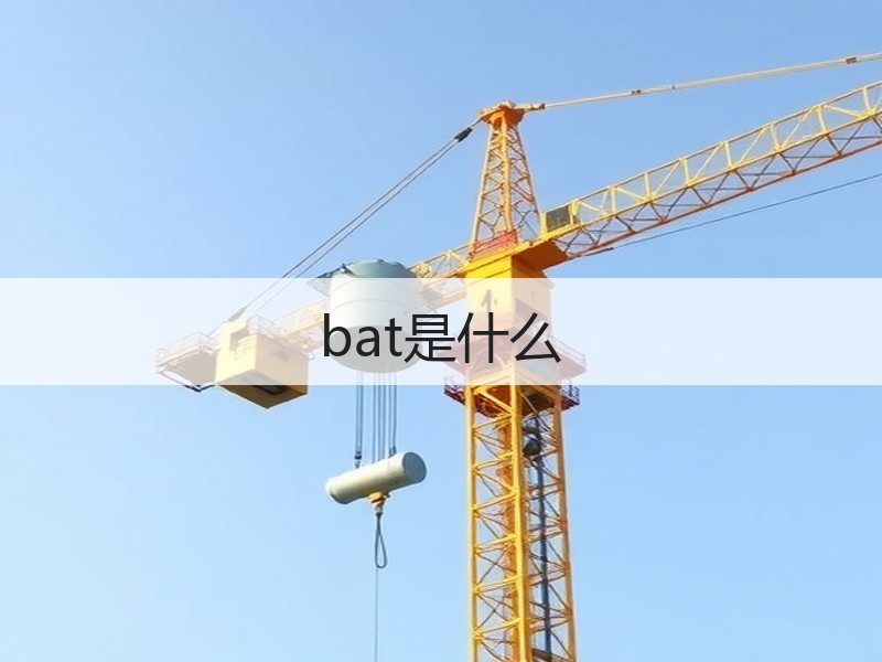 bat是什么 - 诺云壹观办公网