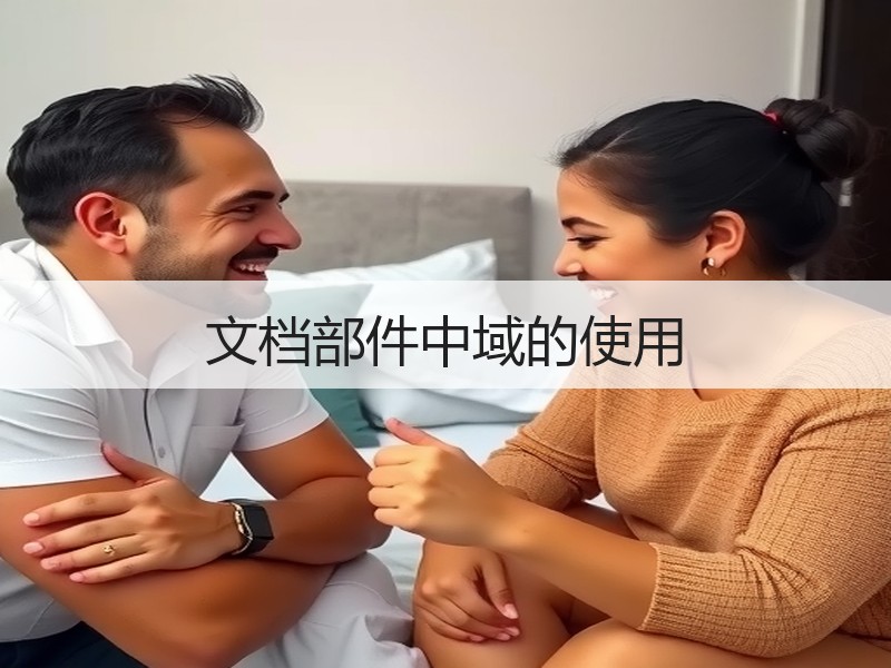文档部件中域的使用 - 诺云壹观办公网