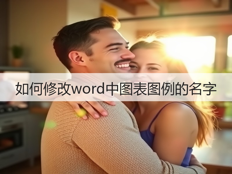 如何修改word中图表图例的名字 - 诺云壹观办公网