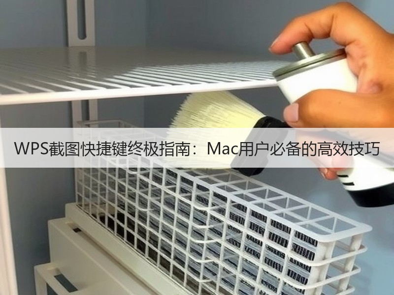 WPS截图快捷键终极指南：Mac用户必备