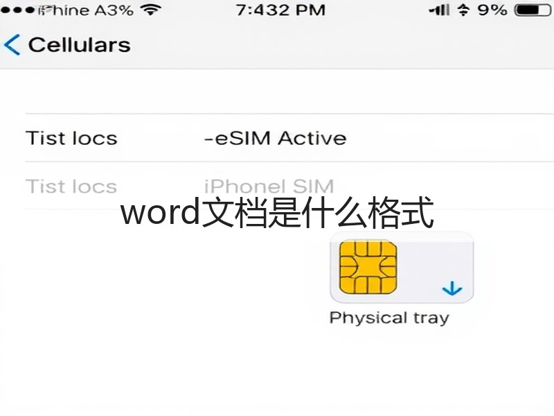 word文档是什么格式 - 诺云壹观办公网