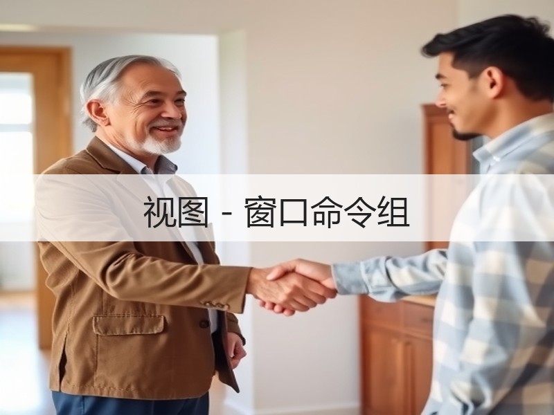 视图 - 窗口命令组 - 诺云壹观办公网
