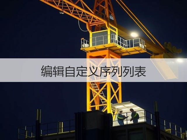 编辑自定义序列列表(图3)