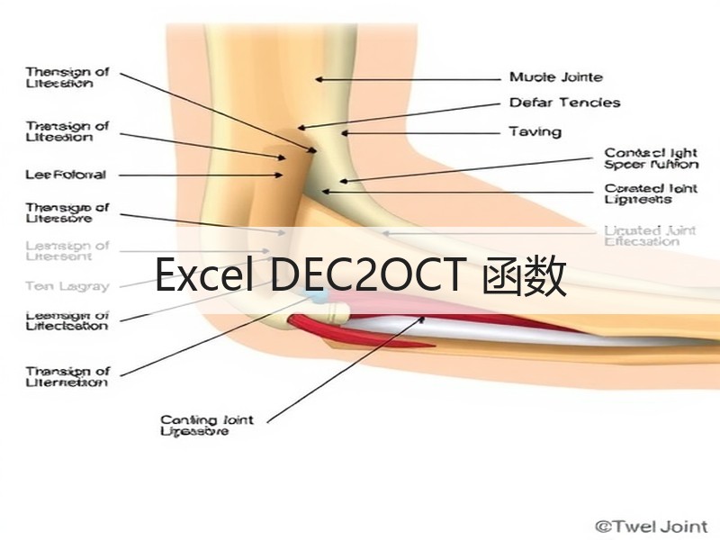 Excel DEC2OCT 函数 - 诺云壹观办公网
