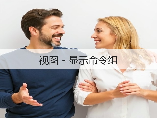 视图 - 显示命令组(图3) 视图 - 显示命令组(图3)