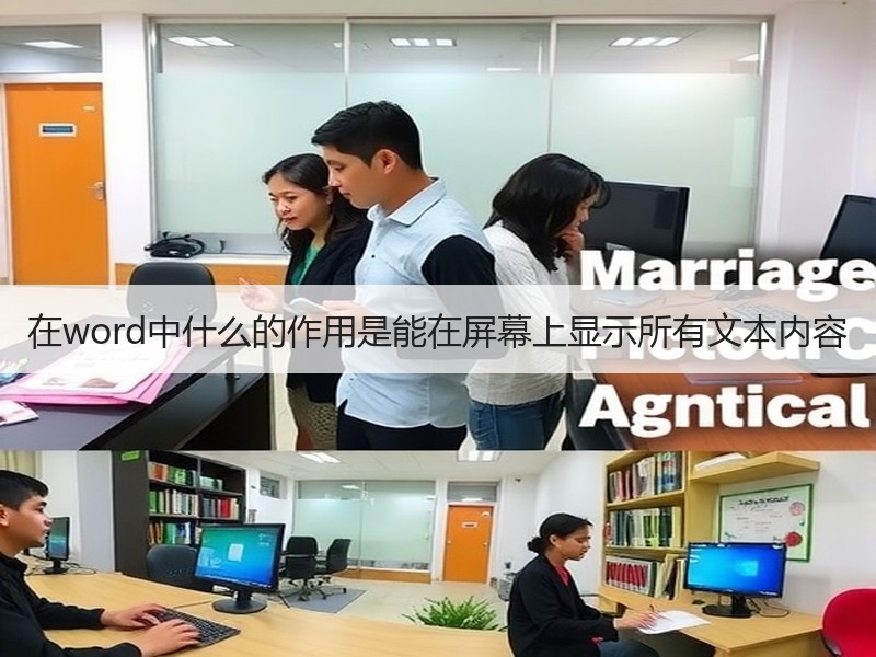 在word中什么的作用是能在屏幕上显示所有文本内容 - 诺云壹观办公网