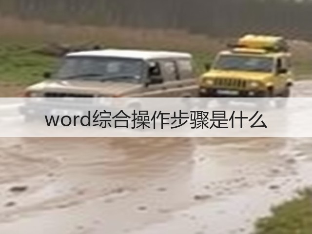 word综合操作步骤是什么(图1) word综合操作步骤是什么(图1)