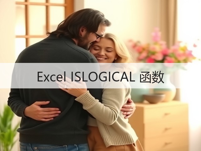 Excel ISLOGICAL 函数(图2)